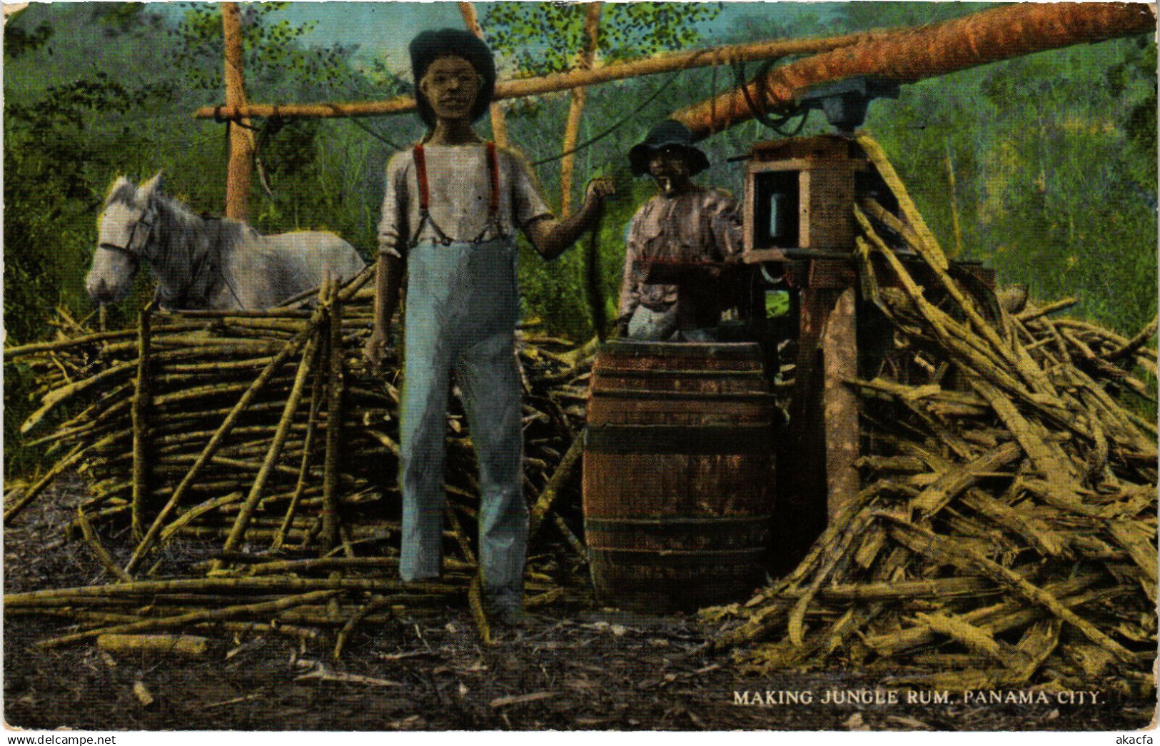 PC PANAMA, PANAMA CITY, MAKING JUNGLE RUM, Vintage Postcard (b22337)