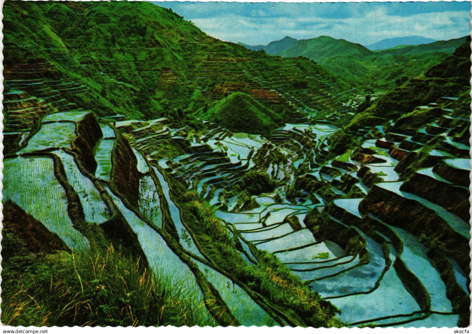 PC PHILIPPINES, THE RICE TERRACES OF THE PHILIPPINES, Modern Postcard (b60244)