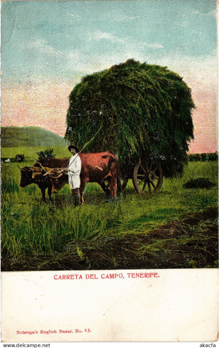 PC SPAIN TENERIFE CARRETA DEL CAMPO, TENERIFE. (a80563)