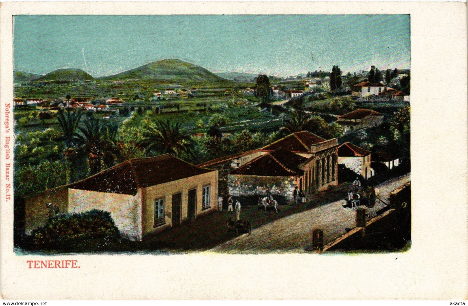 PC SPAIN TENERIFE TENERIFE (a80491)