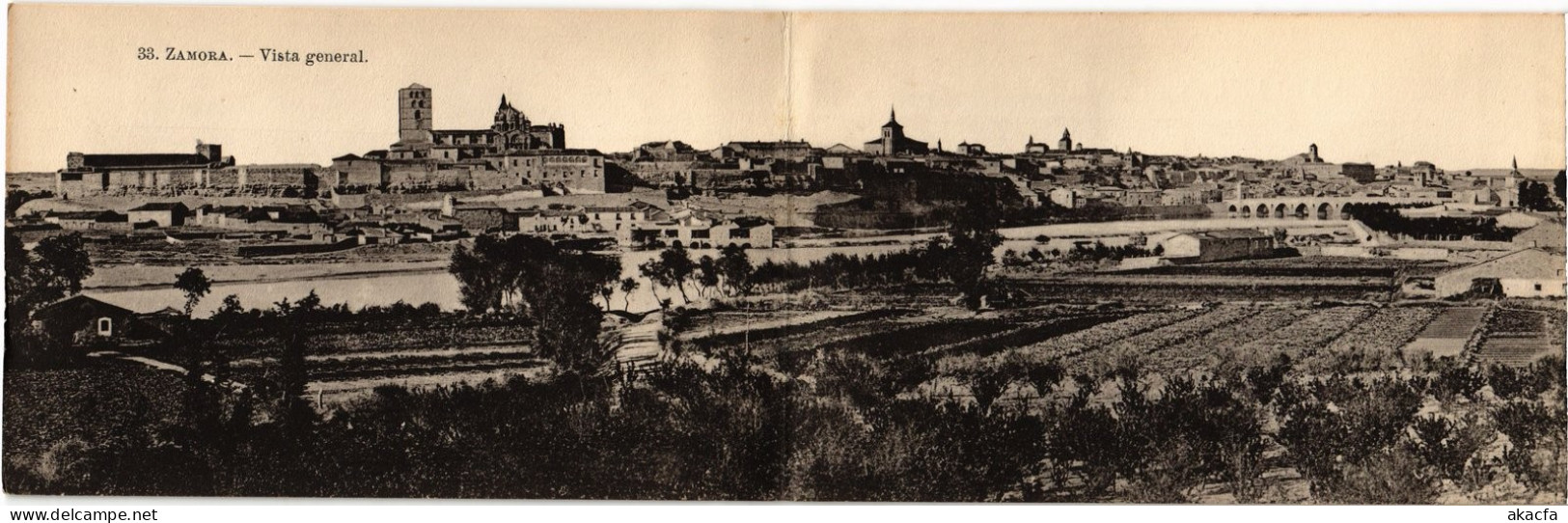 PC SPAIN ZAMORA - VISTA GENERAL PANORAMA CARD (a80004)