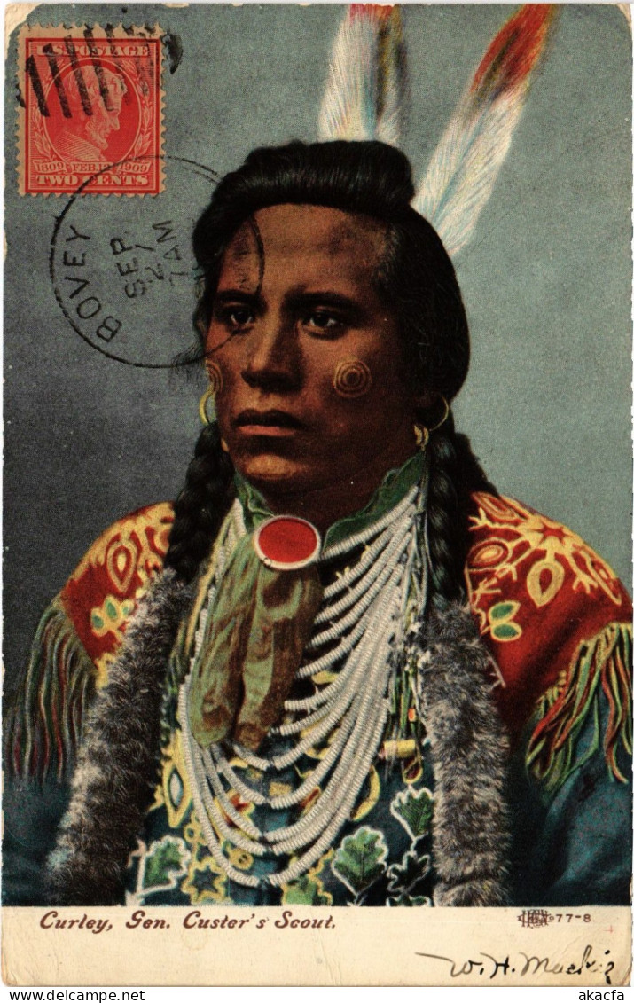 PC US, NATIVE AMERICAN, CURLEY, GEN. CUSTER'S SCOUT, Vintage Postcard (b61914)