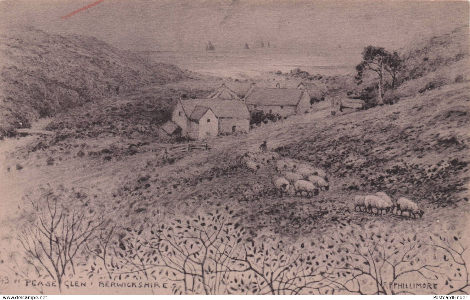 Pease Glen Berwickshire Phillimore Rare Art Postcard & Amazing Reverse