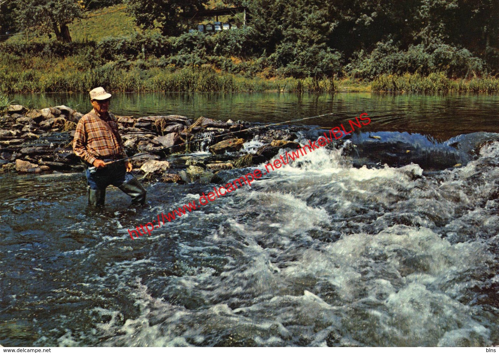 Pêche de la truite - La-Roche-en-Ardenne