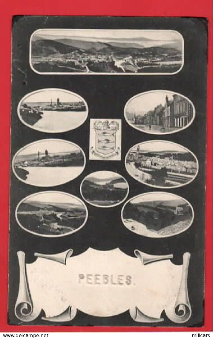 PEEPLES +  HERALDIC CREST pu  1906