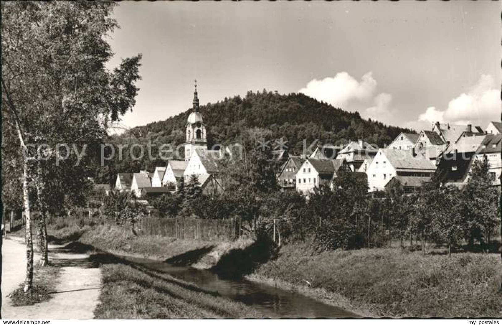 Pegnitz Schlossberg