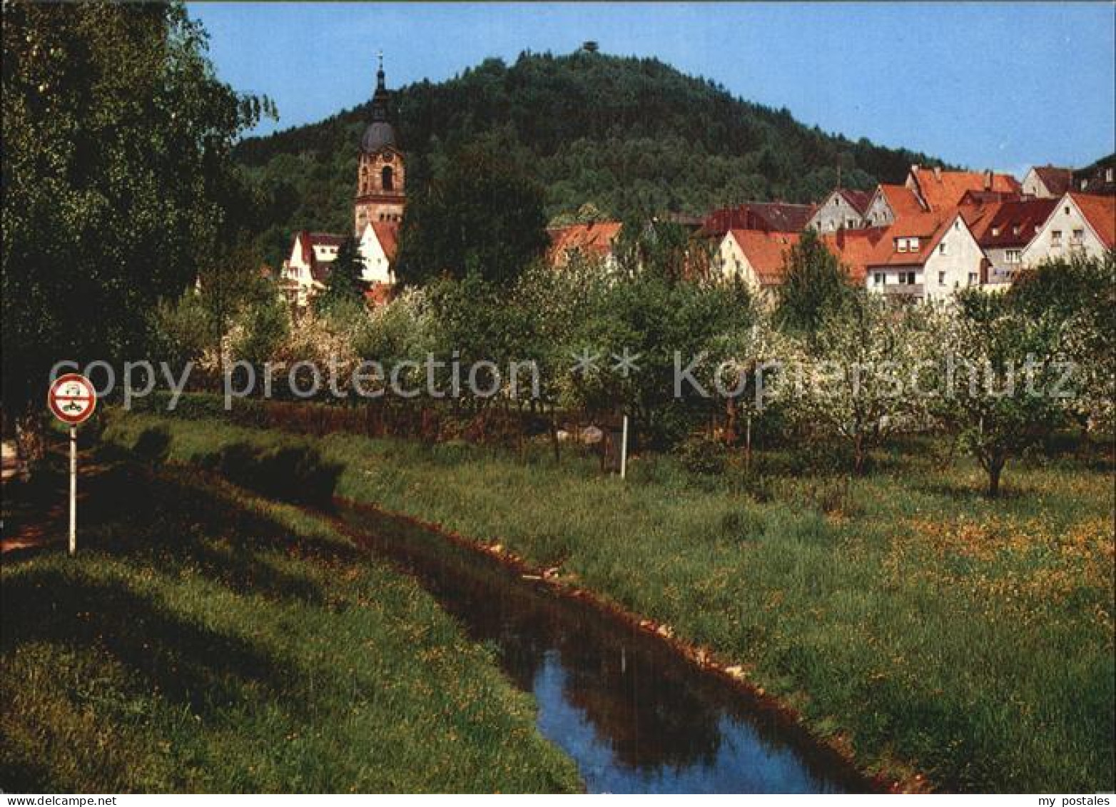 Pegnitz Schlossberg
