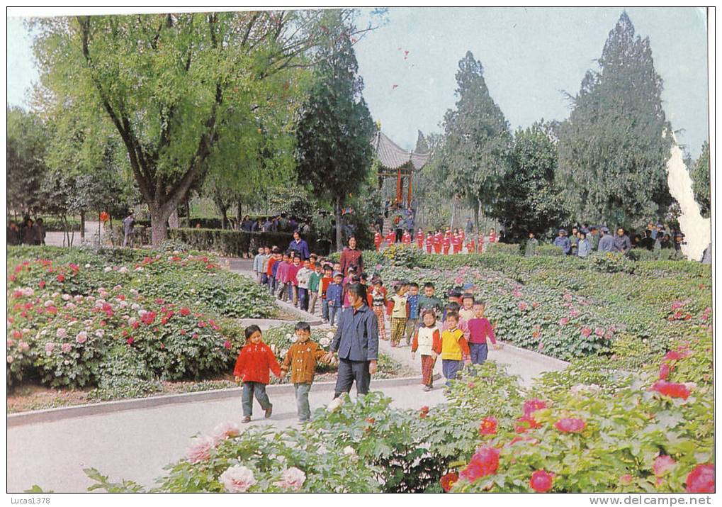 PEKIN / PEONY GARDEN