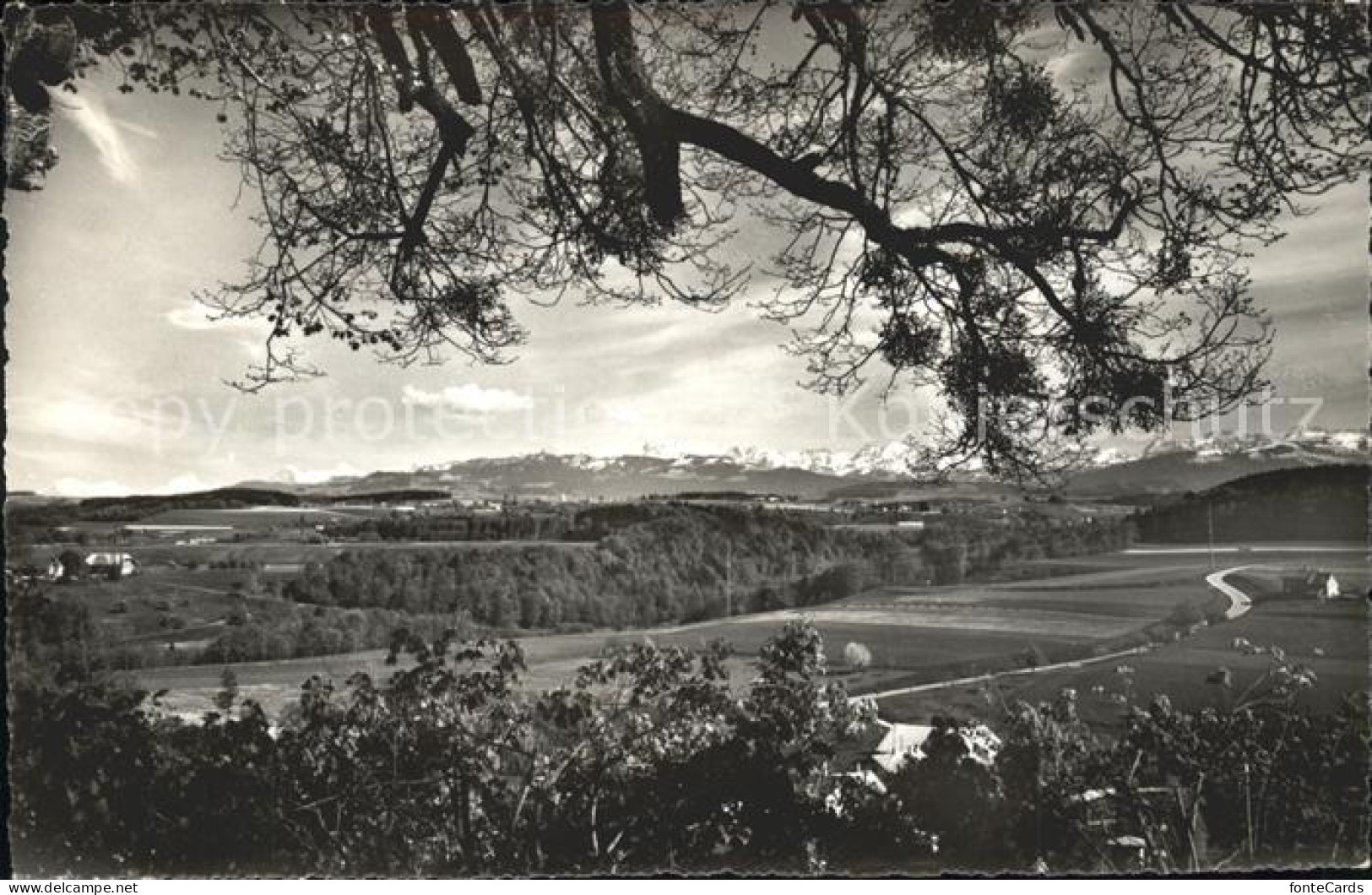 Pensier Institute Dominique Vue sur les Alpes
