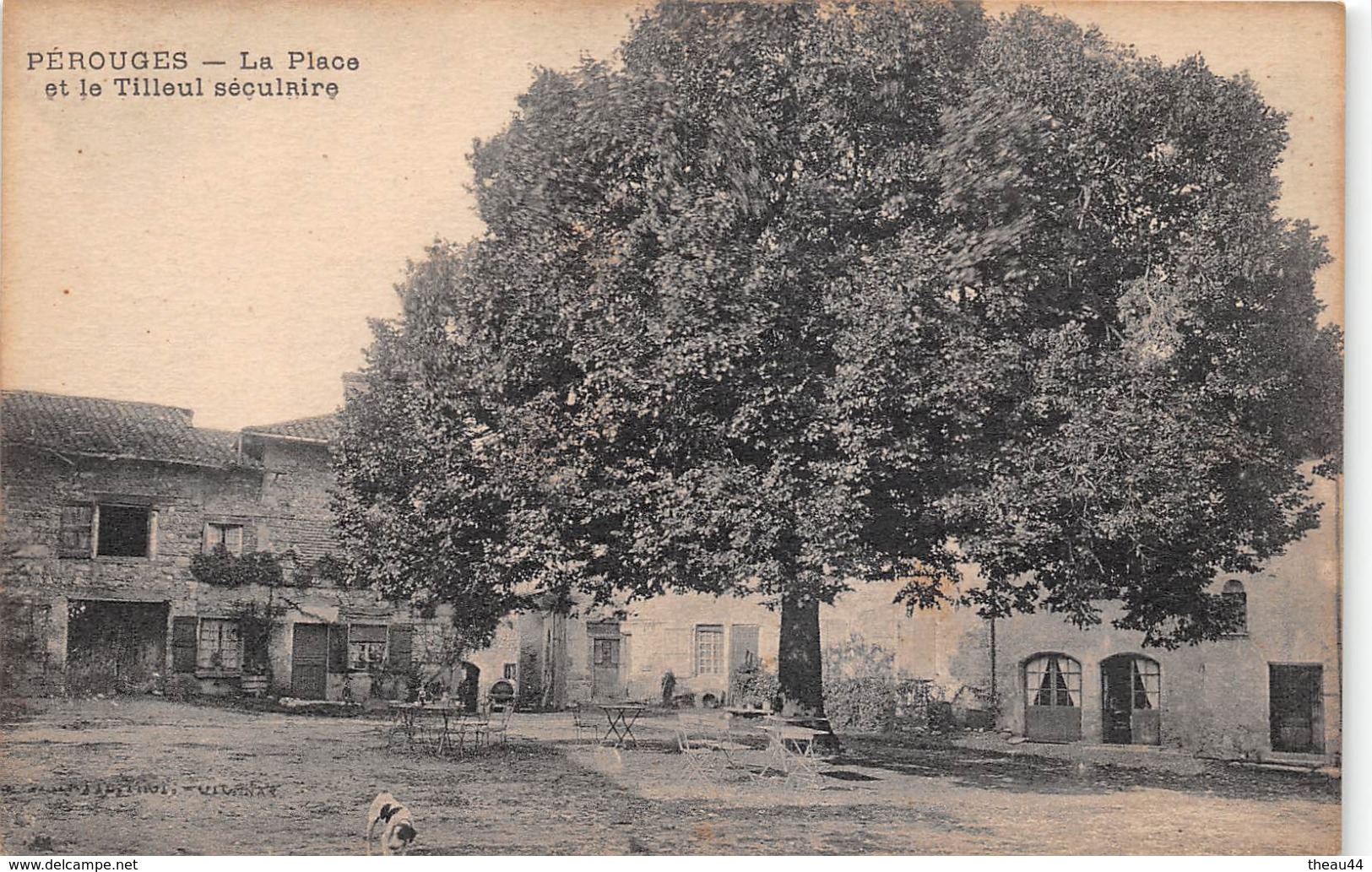 ¤¤  -  PEROUGES   -  Le Place et le Tilleul séculaire   -  Arbre   -  ¤¤