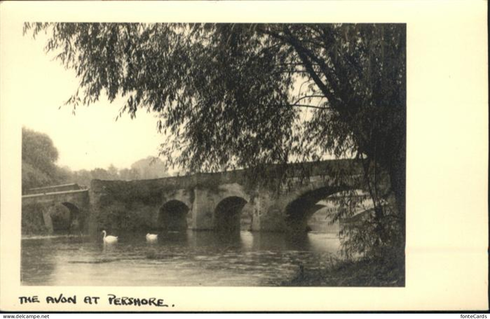 Pershore Avon Bruecke Schwan