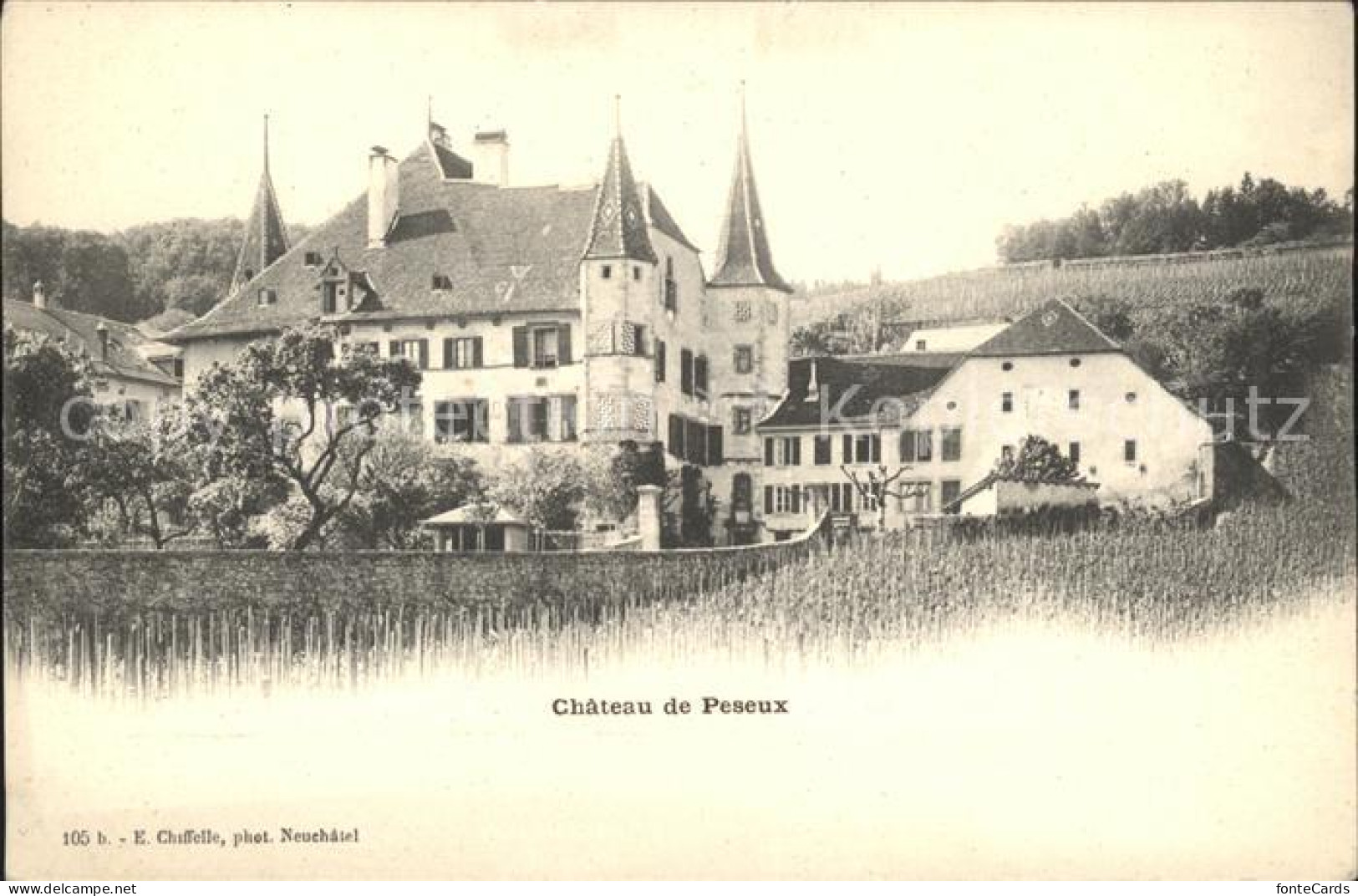 Peseux NE Chateau de Peseux