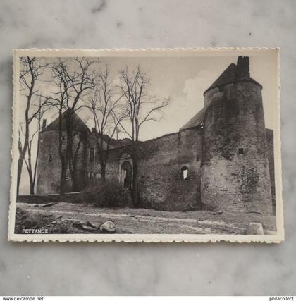 G-D. Luxembourg - Pettange   // 15 x 10.5  cm Chateau  19??