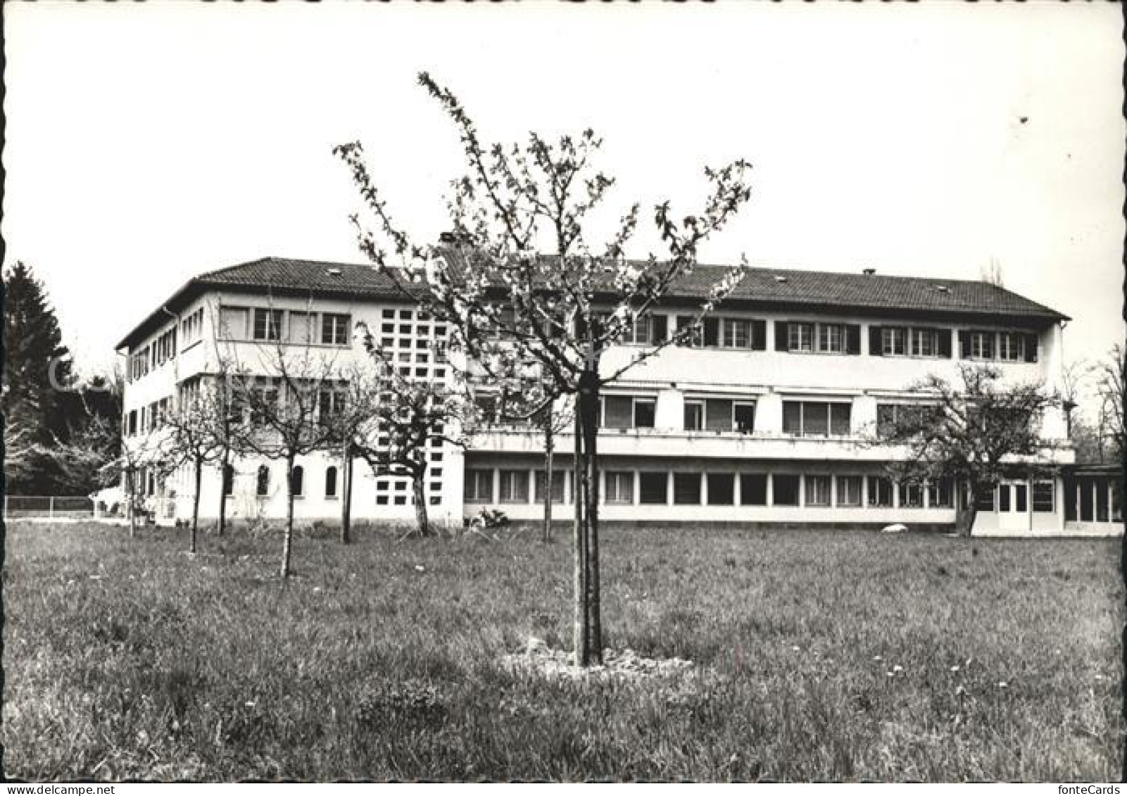 Petit Sacconnex Providence Pouponniere