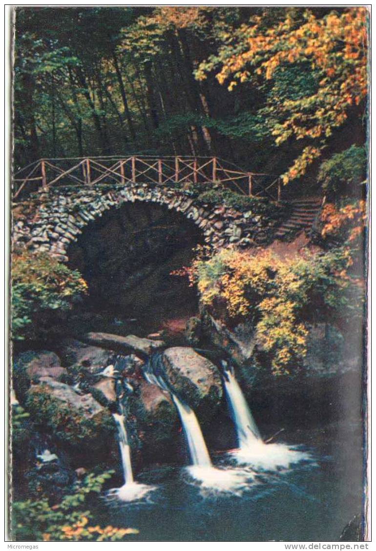 Petite Suisse Luxembourgeoise - Müllerthal - Schiessentümpel