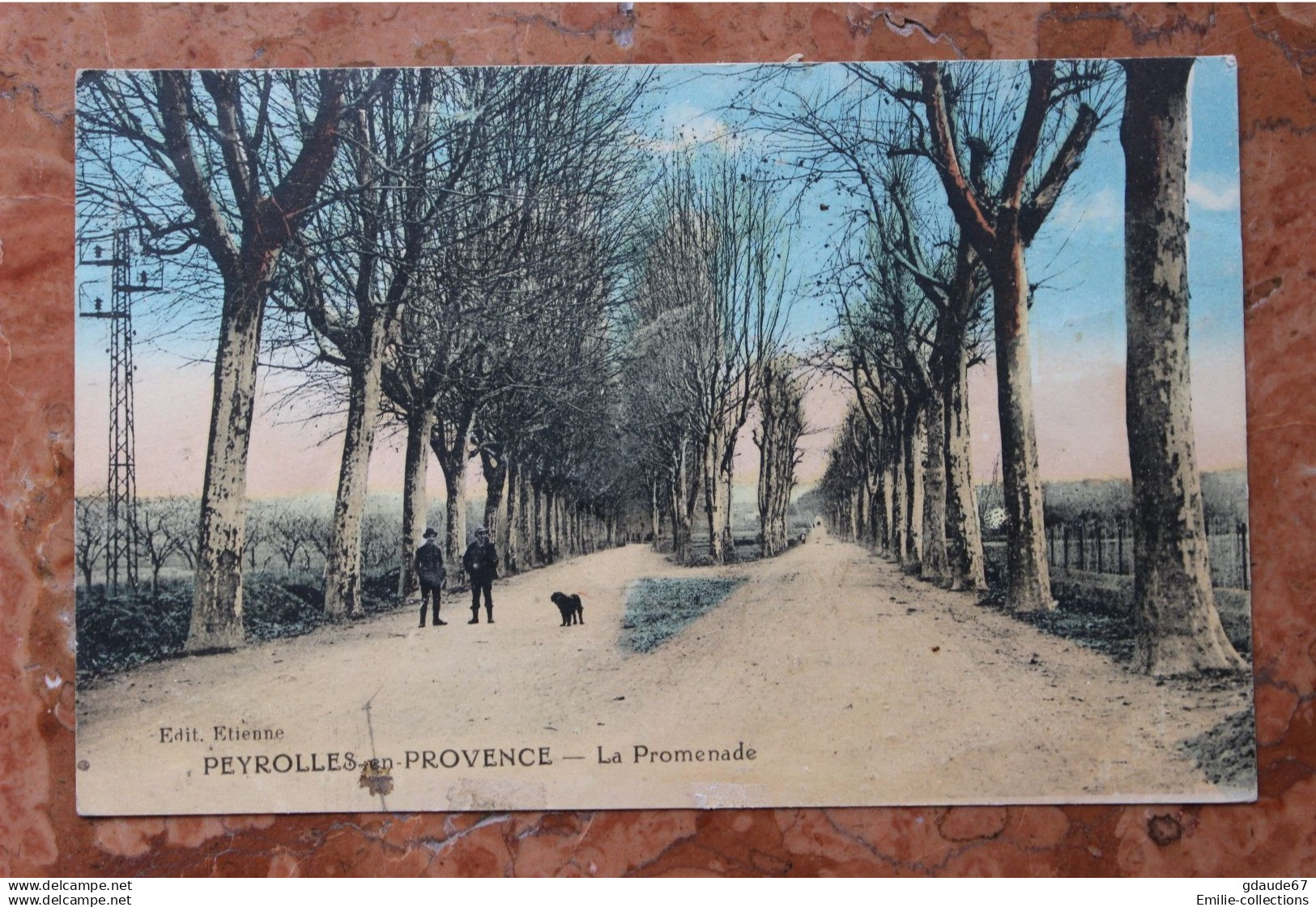 PEYROLLES EN PROVENCE (13) - LA PROMENADE