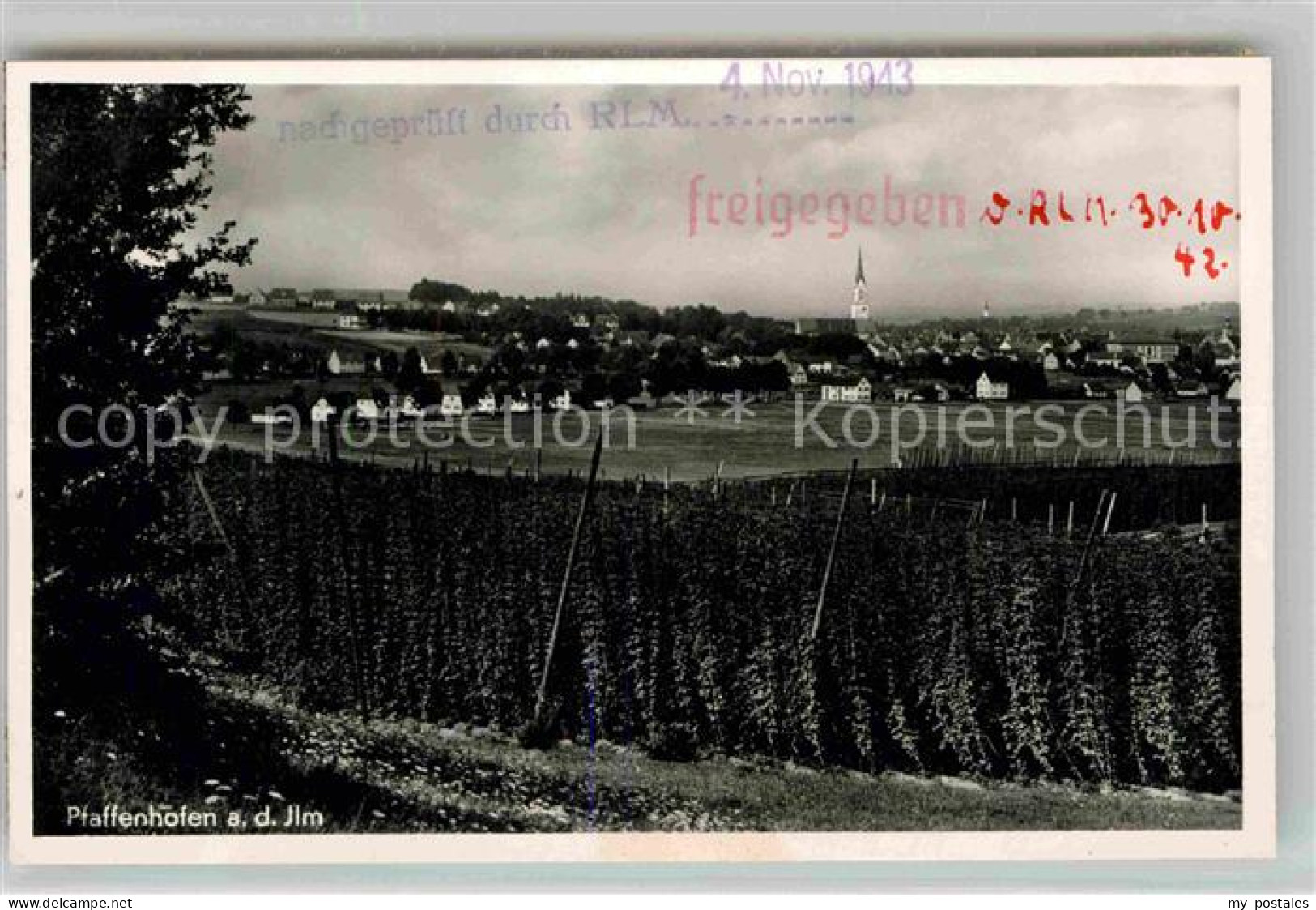 Pfaffenhofen Ilm Hopfenfelder Panorama