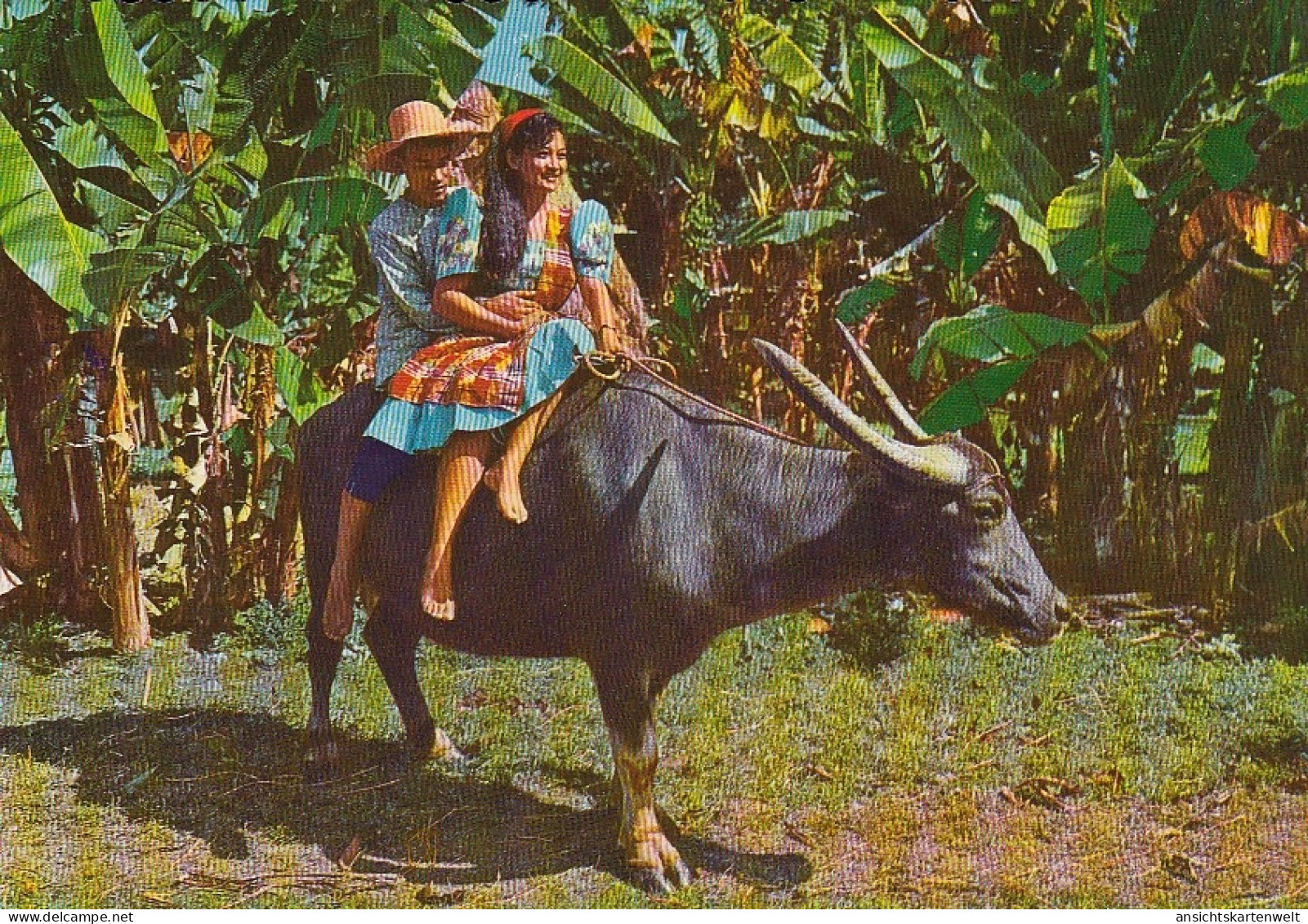 Philippinen, Carabao ngl #E4897