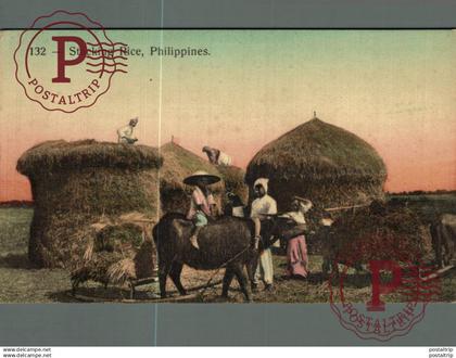 FILIPINAS. PHILIPPINES. STACKING RICE.