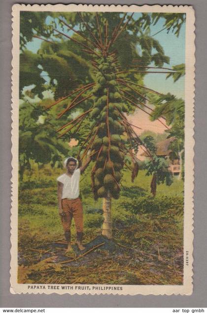 AK Asien Philippinen Manila 1956-05-15 Papaya-Baum