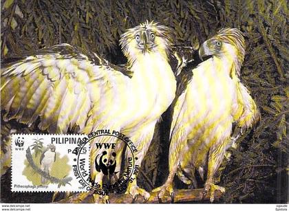 Philippine Eagle Philippinen Adler Birds oiseaux WWF 1991 PILIPINAS  carte maximum