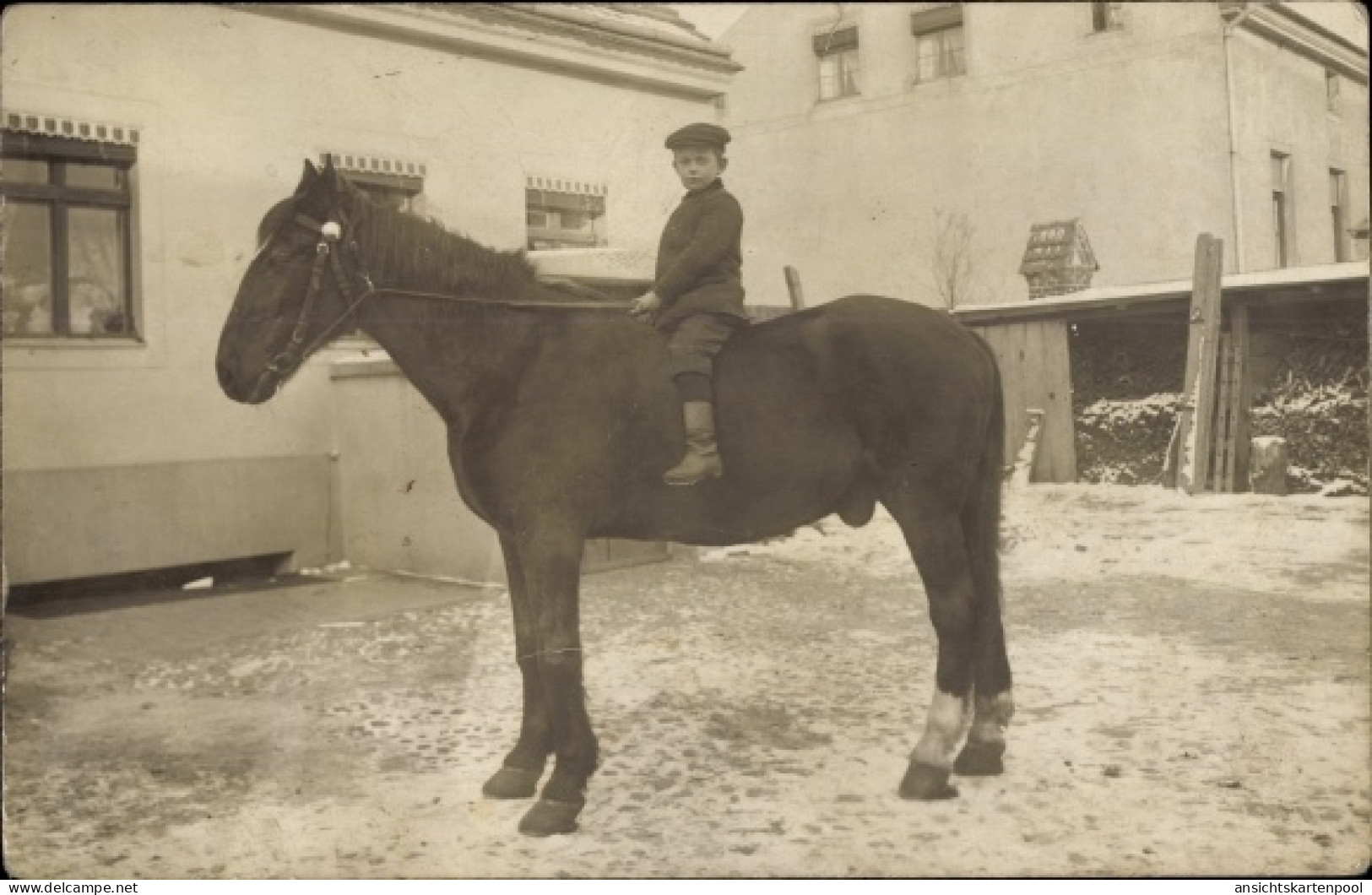 Photo CPA Berlin Lichtenberg Hohenschönhausen, Hauptstraße 2, Junge auf einem Pferd, Wohngebäude