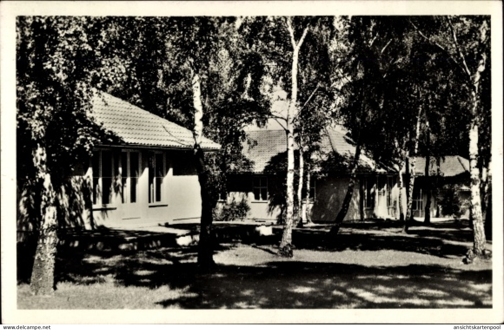 Photo CPA Wustermark in Brandenburg, Olympisches Dorf, Wohnhäuser im Birkenwald