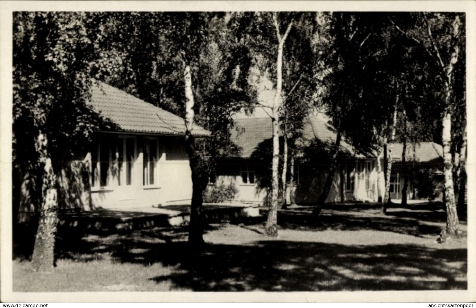 Photo CPA Wustermark in Brandenburg, Olympisches Dorf, Wohnhäuser im Birkenwald