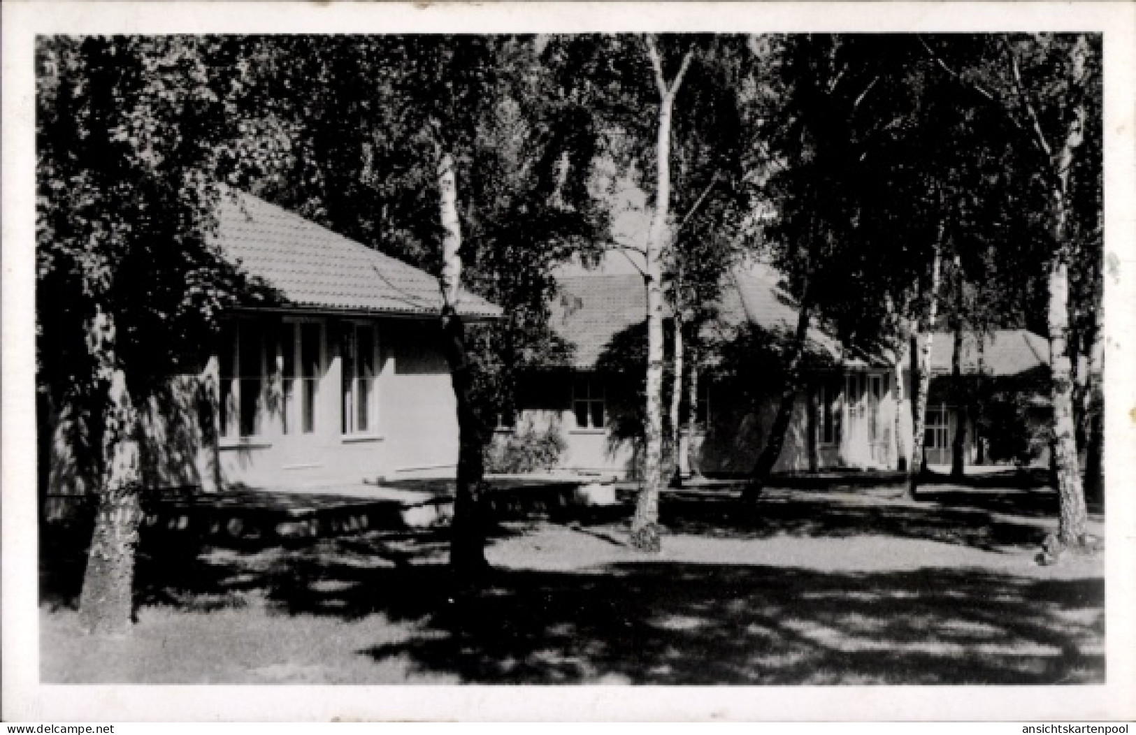 Photo CPA Wustermark in Brandenburg, Olympisches Dorf, Wohnhäuser im Birkenwald