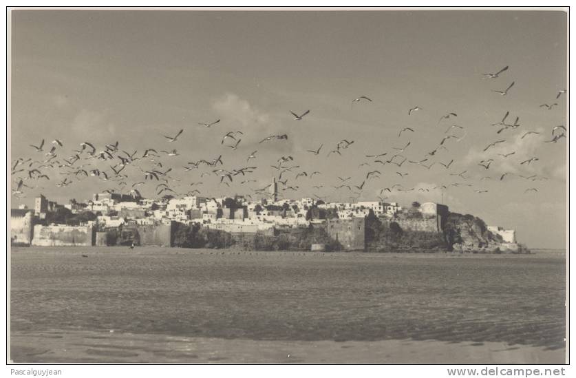 PHOTO CROATIE - DUBROVNIK