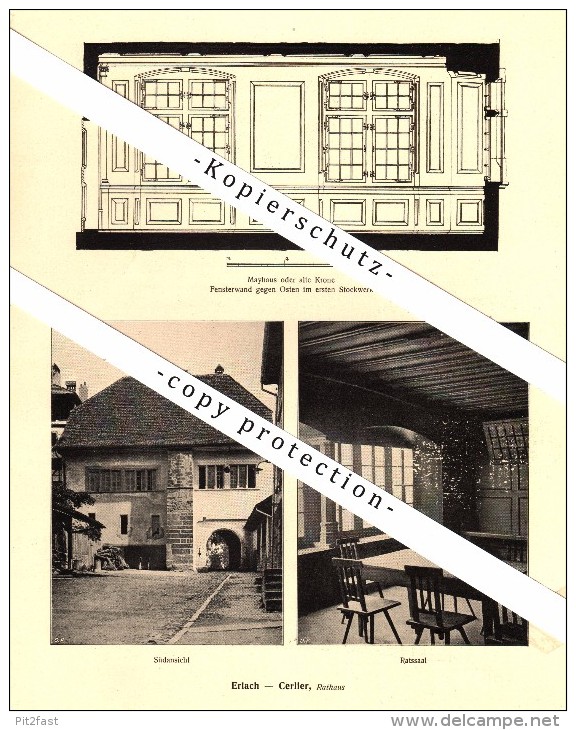Photographien / Ansichten , 1917 , Erlach - Cerlier , Prospekt , Fotos , Architektur !!!