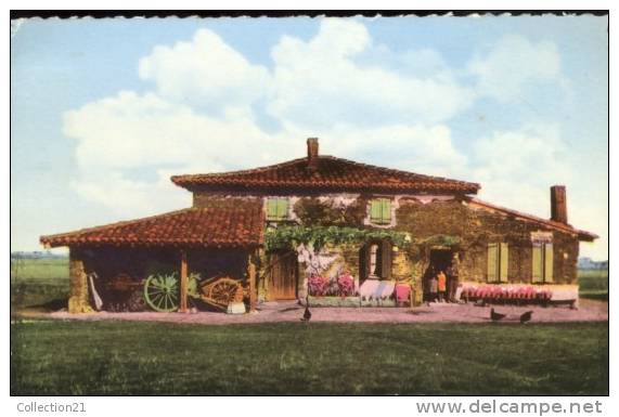 PIBRAC .... PELERINAGE DE STE GERMAINE DE PIBRAC