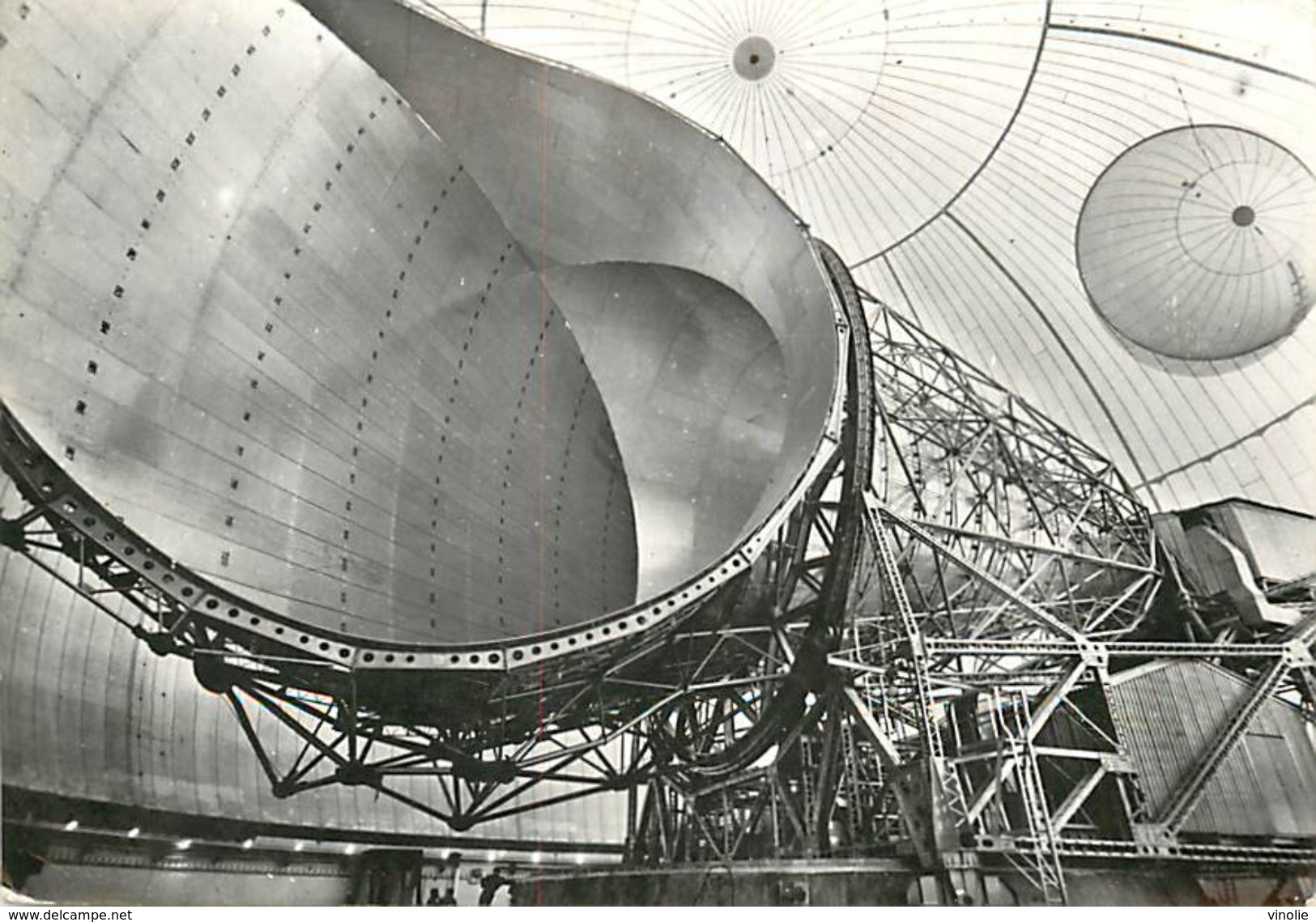 PIE 17-FL-8646 : PLEUMEUR-BODOU