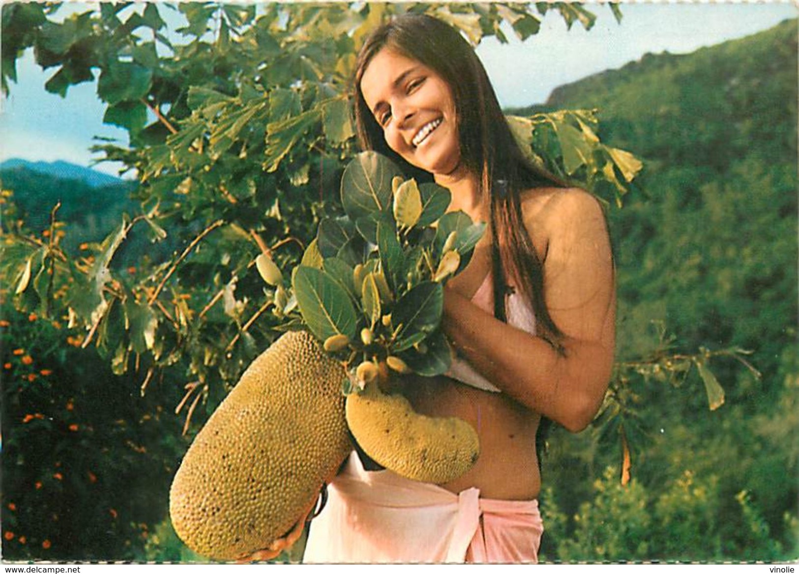 PIE-17-P.T. 8263 :  SEYCHELLES