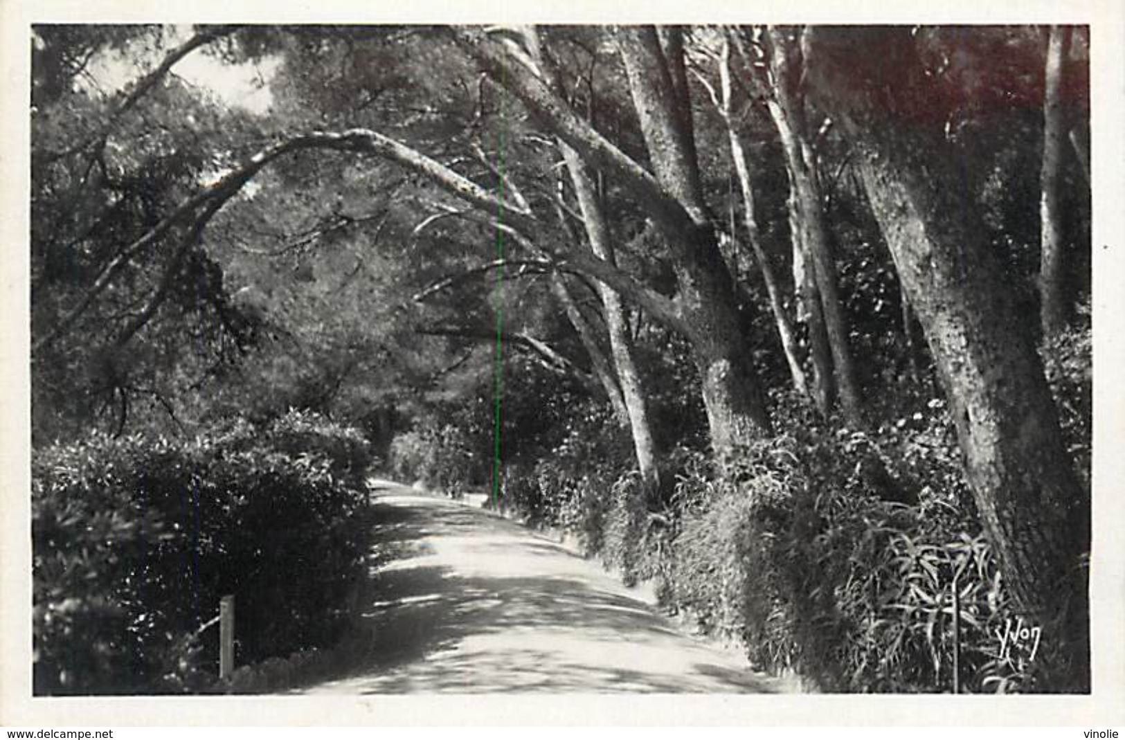 PIE 17-Tx-9583 : MONACO