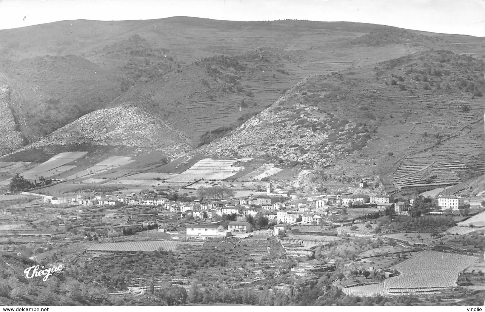 PIE.CHA-19-5281 : SOURNIA