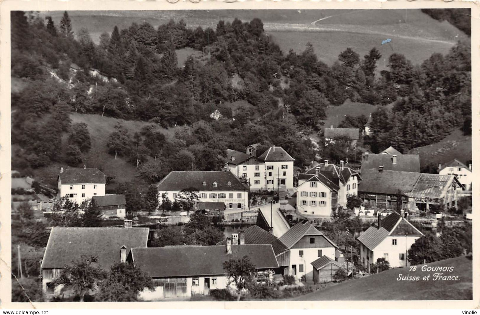 PIE-FL-21-7613 : GOUMOIS