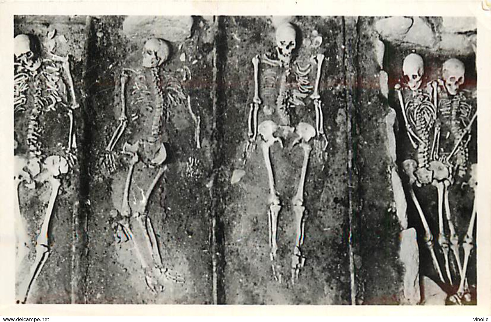 PIE-T-16-5347 : PENMARC H  MUSEE PREHISTORIQUE NECROPLE DE SAINT URNEL EN PLOMEUR   AGE DE FER