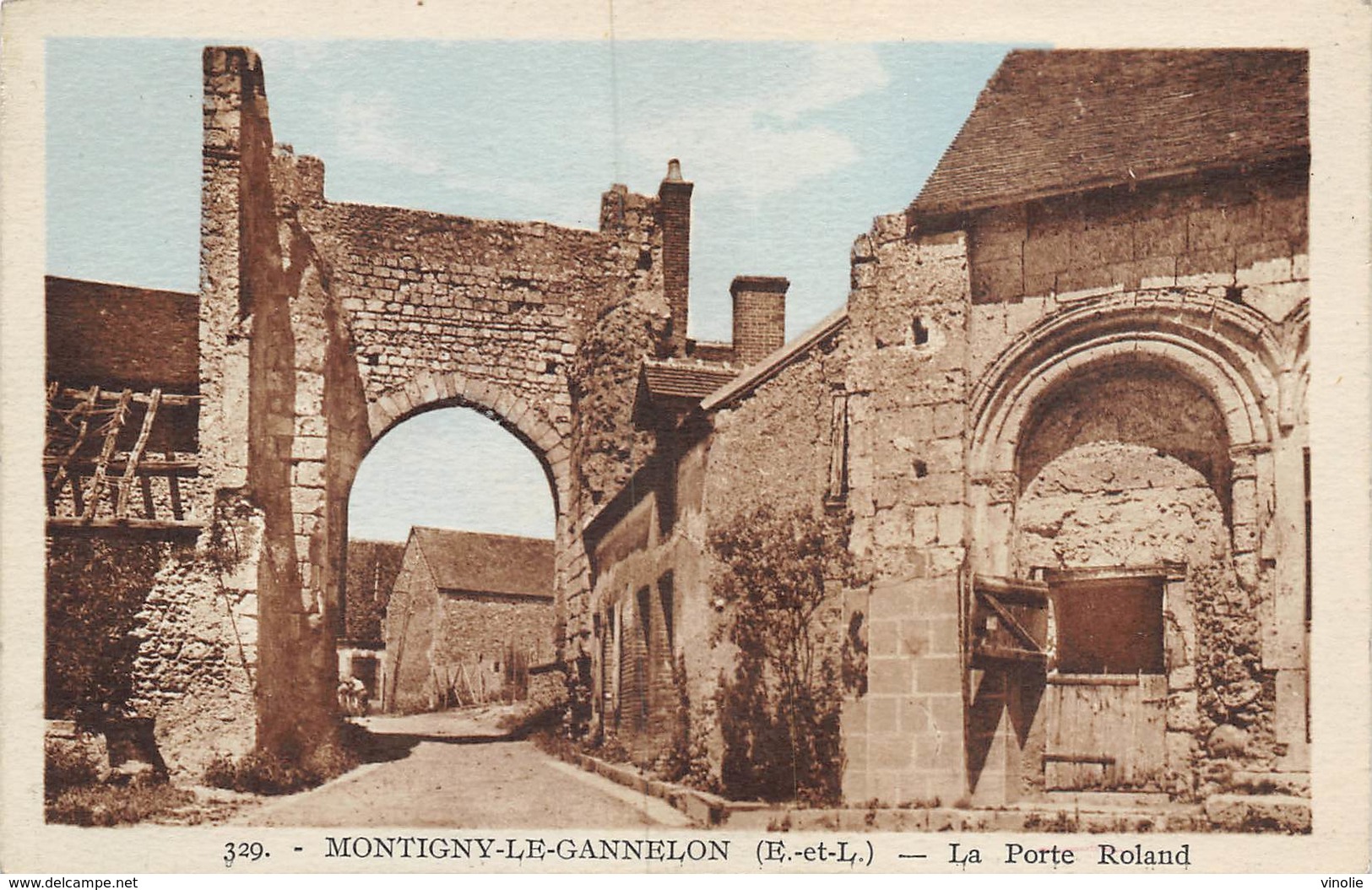 PIE.T-19-2905 : MONTIGNY LE GANNELON