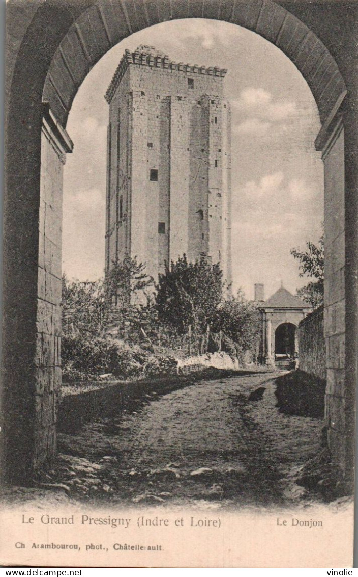 PIE-T. DH-25-2460 : LE GRAND-PRESSIGNY. LE CHATEAU.
