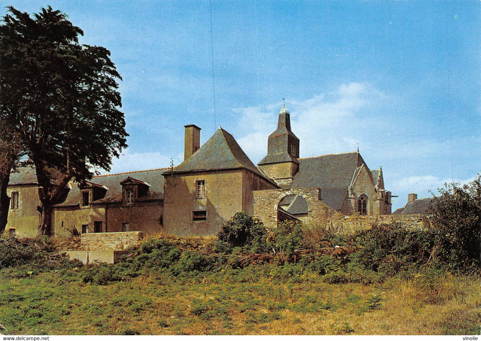 PIE-Th.Mu-22-8466 : ILE-D'ARZ