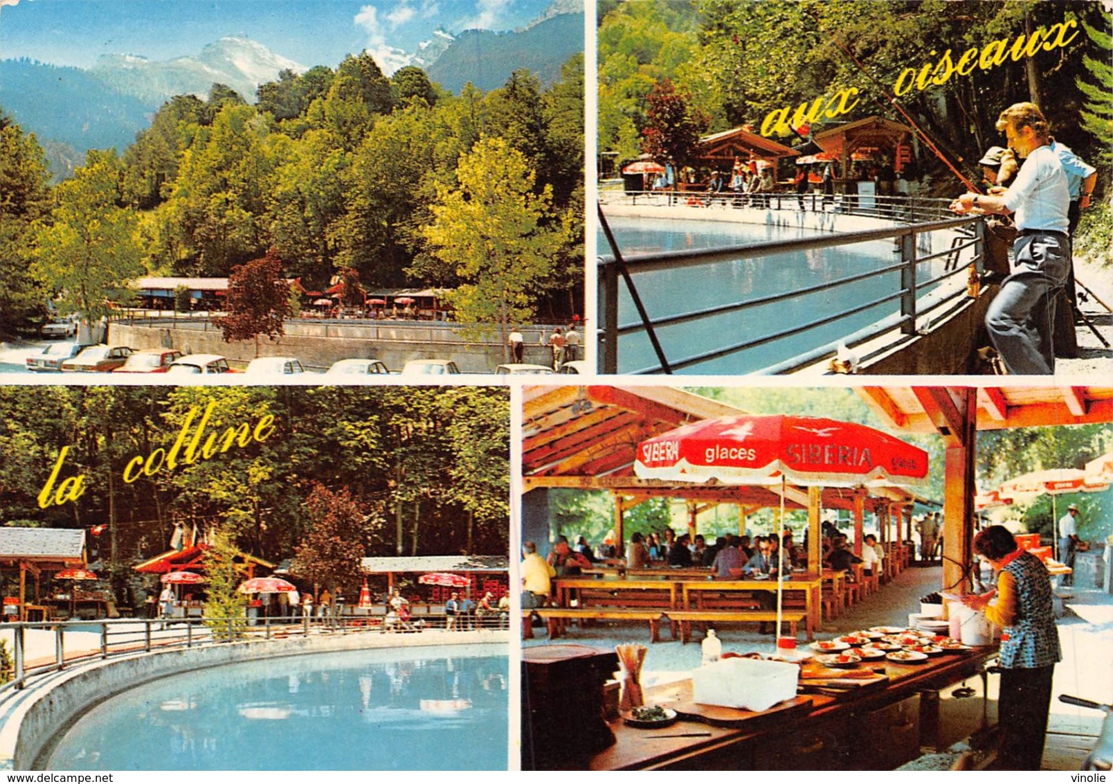 PIE-Z AR-19-2343 : CHEZ TIP-TOP. LA COLLINE AUX OISEAUX. RESTAURANT. CHAMOSON. VALAIS.