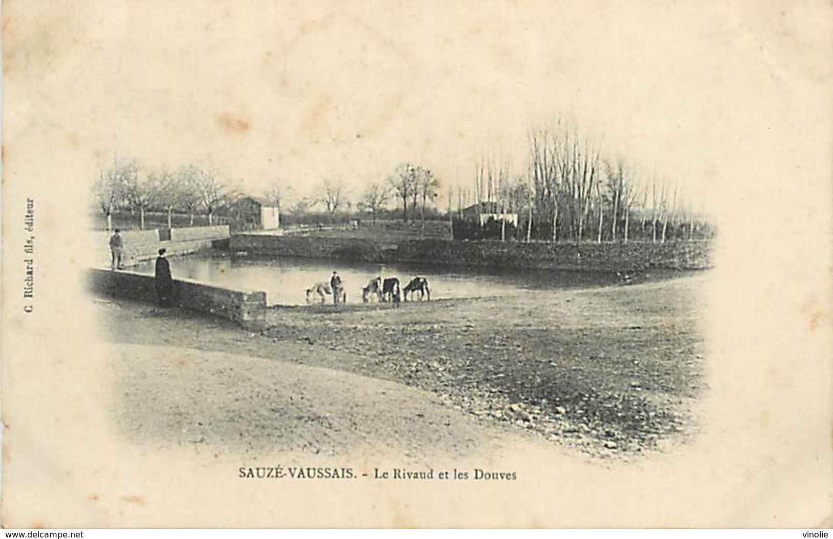 PIE18-BE-3331 : SAUZE-VAUSSAIS.