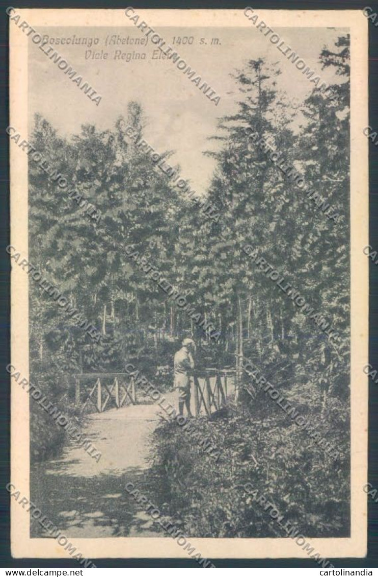 Pistoia Boscolungo cartolina ZB4529