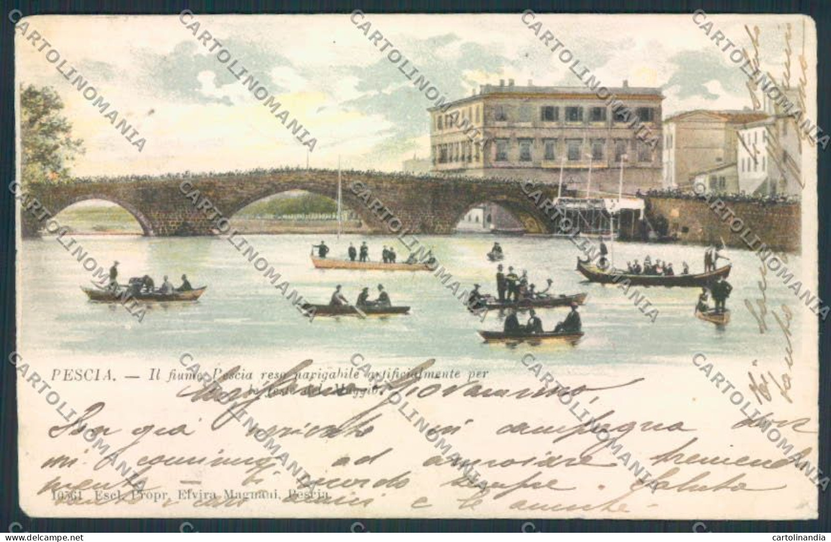 Pistoia Pescia cartolina MV0318