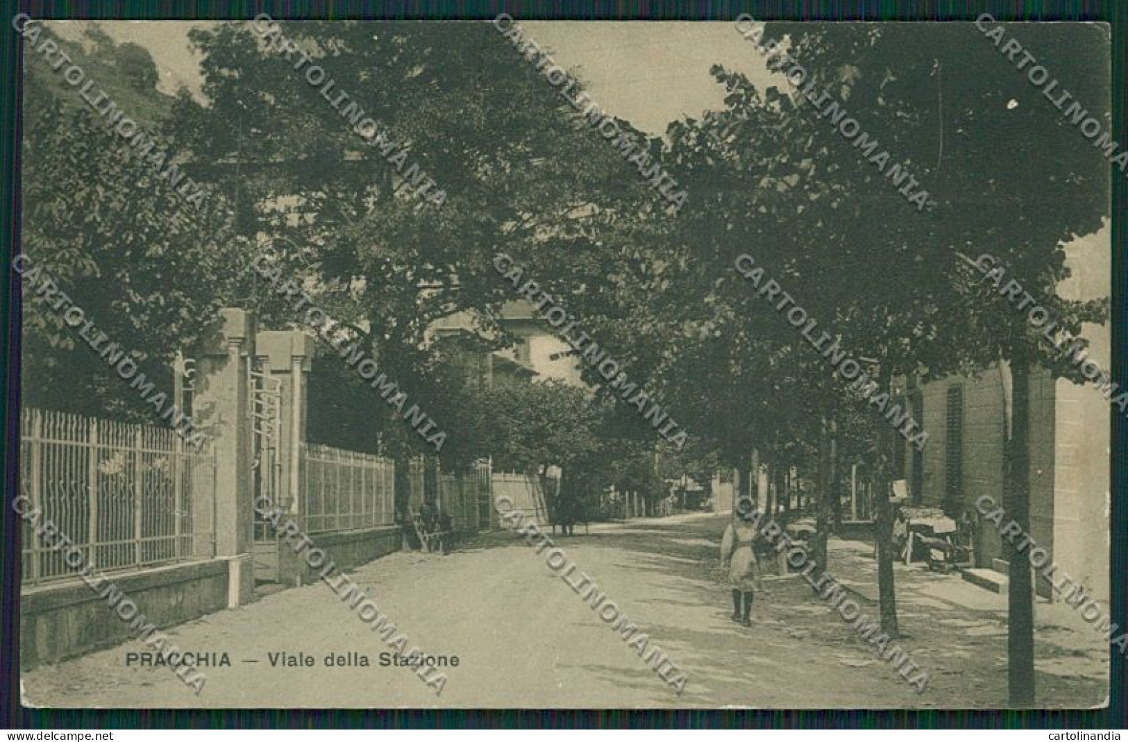 Pistoia Pracchia cartolina EE7037