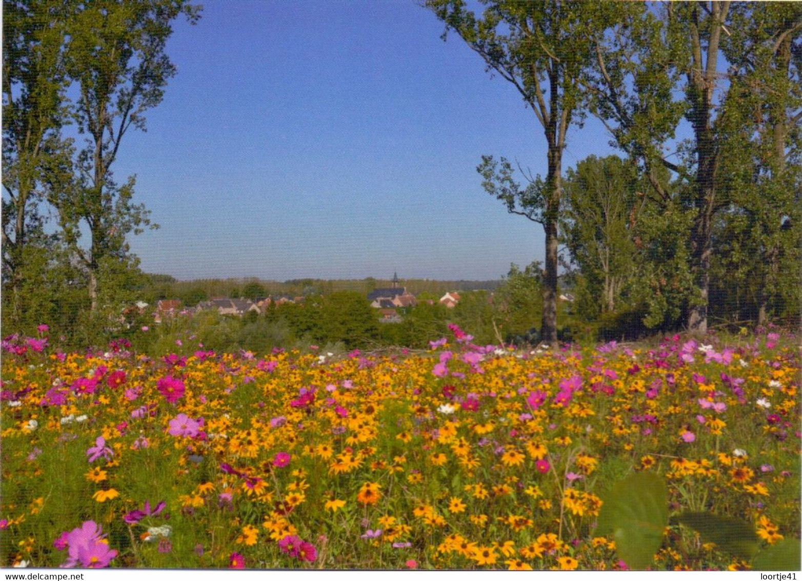 PK - Hoeselt - zijpad Goosstraat - foto Els Hellinx