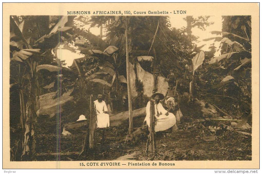 PLANTATION DE BONOUA