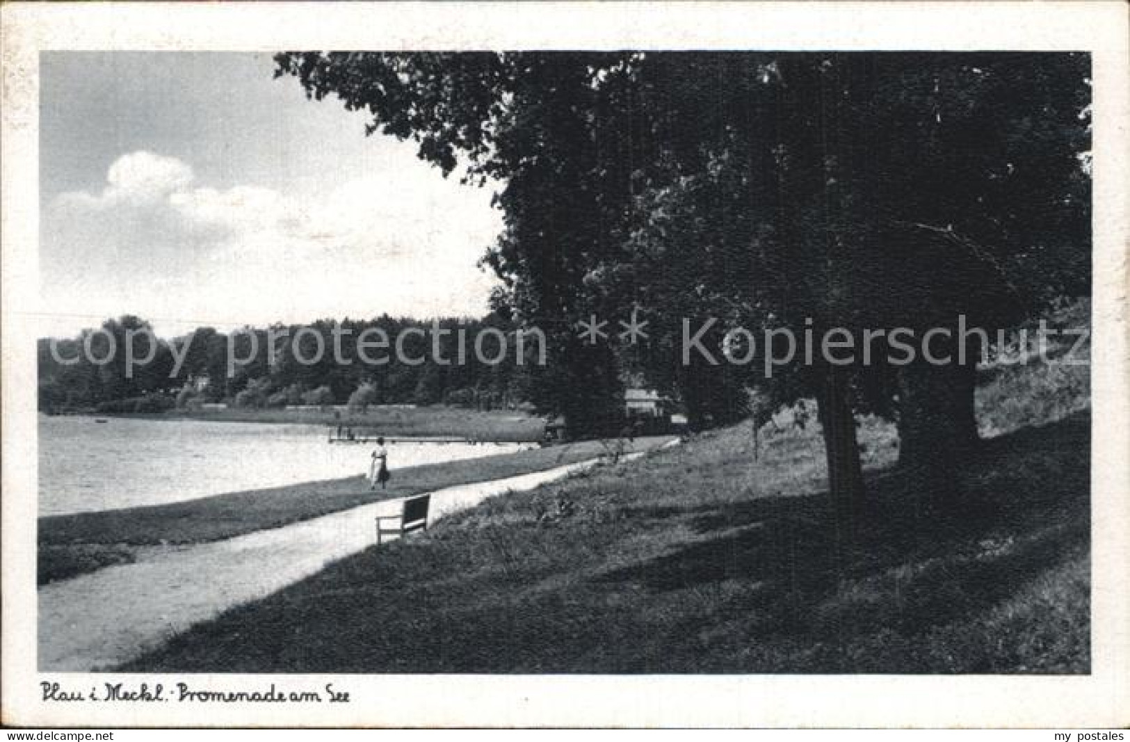 Plau Mecklenburg Promenade See