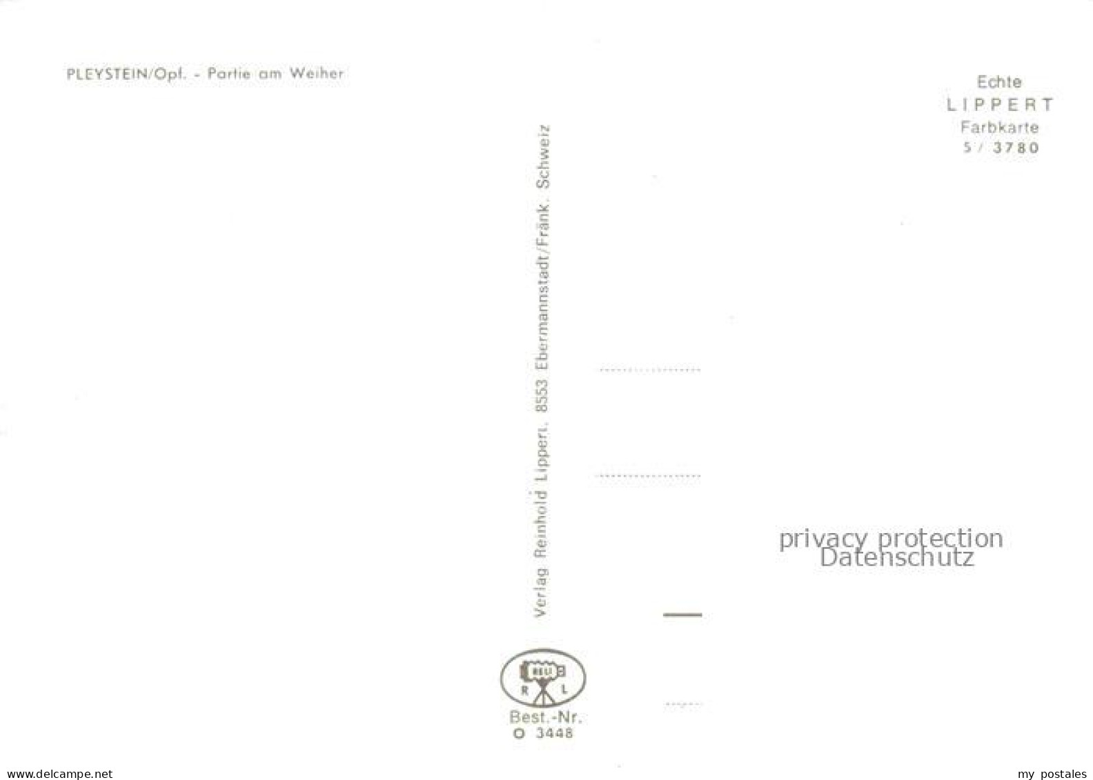 Pleystein Neustadt Waldnaab Bayern Partie am Weiher